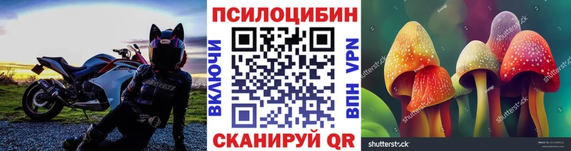 Галлюциногенные грибы прущие грибы  Купить  Истра 