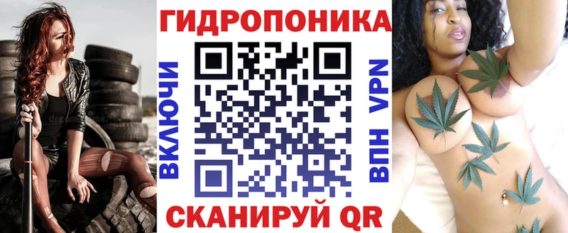 Конопля сатива  Купить где  Истра 